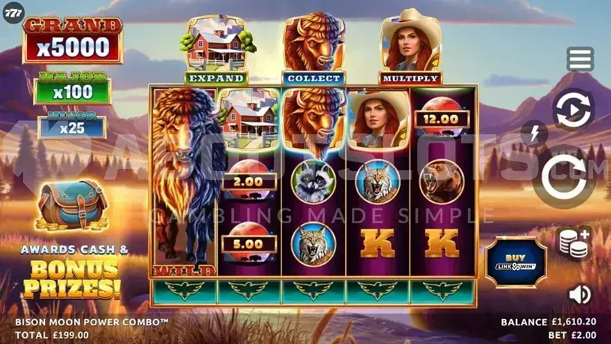 Bison Casino Zrzut ekranu 3